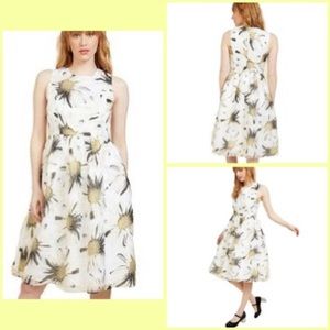 Liza Luxe label for Modcloth daisy print dress